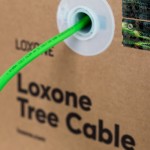 Cáp chuyên dụng LOXONE Tree Cable LSZH (100394)